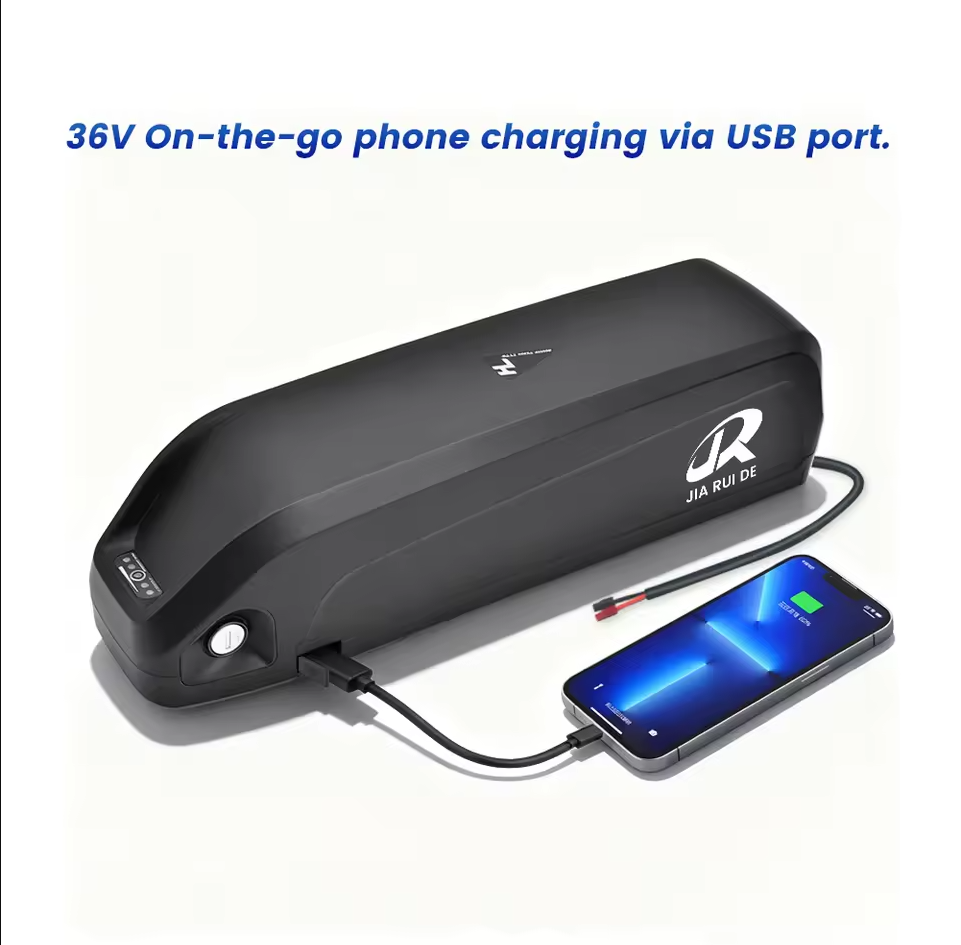 Customized 36V Hailong shell electric bicycle lithium battery